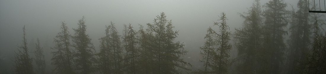 Live - Panoramablick vom Knieberg über Langewiesen