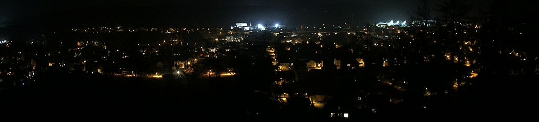 Live - Panoramablick vom Knieberg über Langewiesen